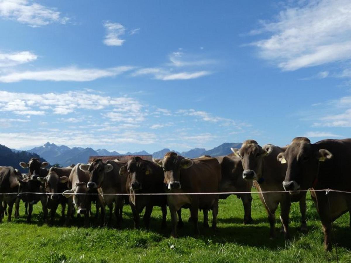 Hemerhof - Ferienwohnungen Oberstdorf Ngoại thất bức ảnh