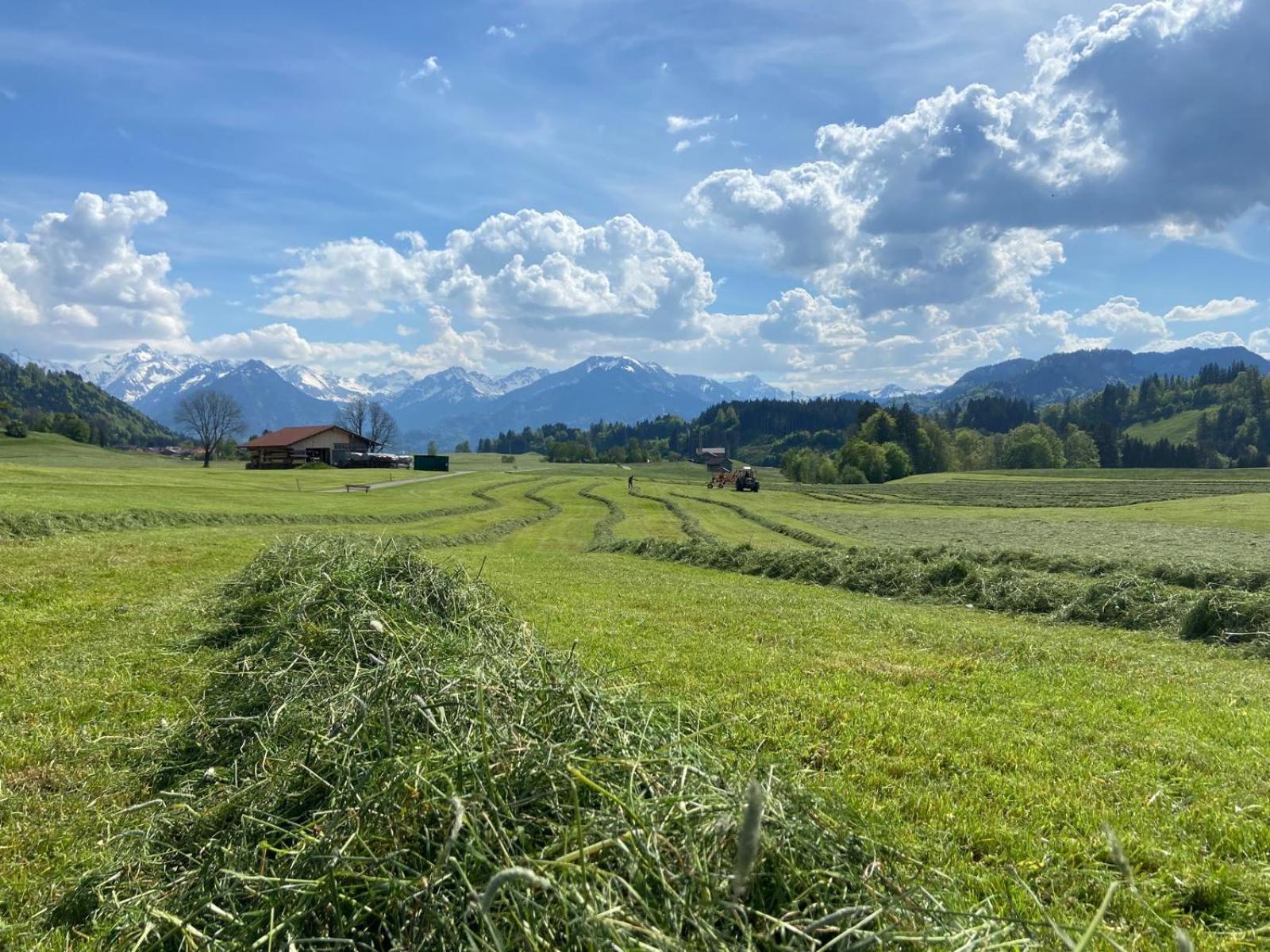 Hemerhof - Ferienwohnungen Oberstdorf Ngoại thất bức ảnh